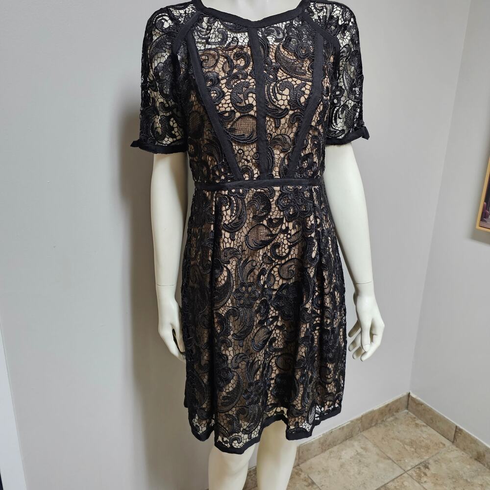 HOSS Intropia Lace Dress Nude Inner lining Size Spain 40 (US 8)